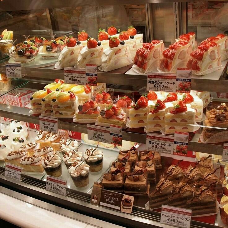 differnt type of dessert shelf real cocoa and all handmade low sugar